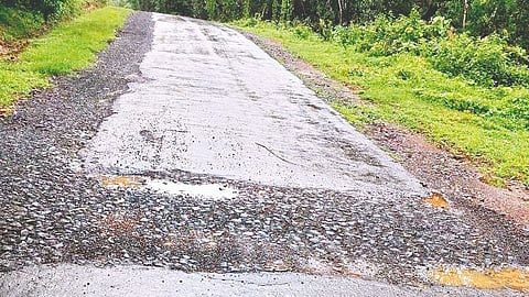 Dandeli-Padlos Road Danger 