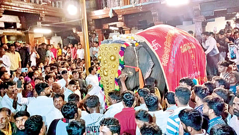 supreme court dismisses plea final farewell to nandani mahadevi