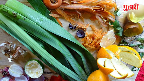 Fruit Peels Nutrition Value