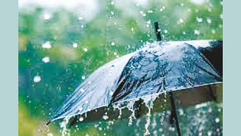 Sindhudurg Rainfall
