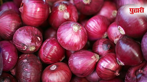 India Bangladesh Onion Trade