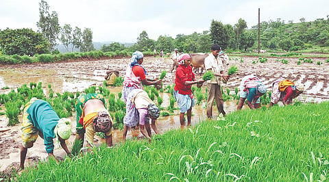 Ahilyanagar News