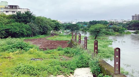Ektanagar News