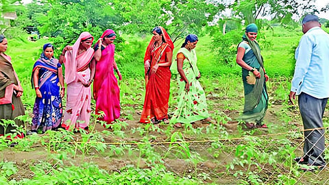 Jalna News