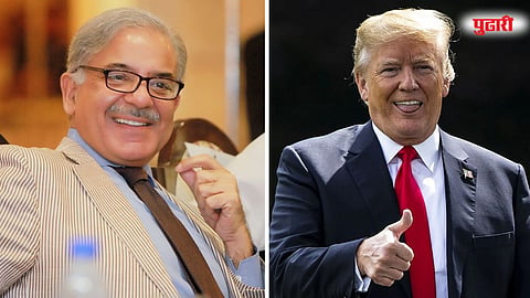 shehbaz sharif - donald trump 
