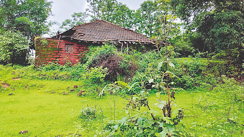 Ratnagiri News |