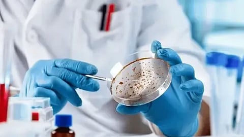 Flesh-eating bacteria