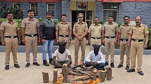 Dhamani Sandalwood Theft  