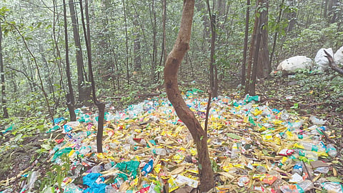 Matheran : माथेरान प्लास्टिकमुक्त केव्हा होणार? स्थानिकांचा सवाल 