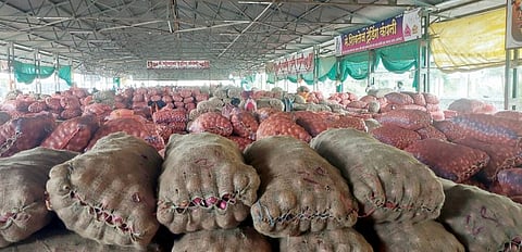 Onion Price