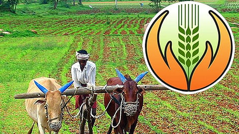 PMFBY Farmers Participation Drop