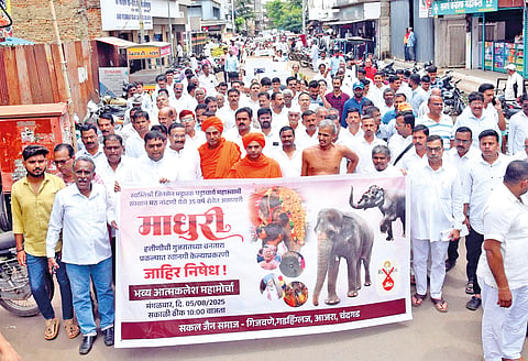 Madhuri Elephant