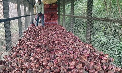 Otur onion News