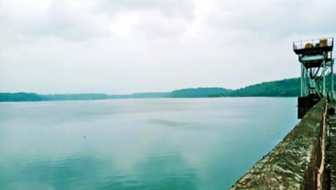 Heavy rains, water level of Bhatsa dam drops