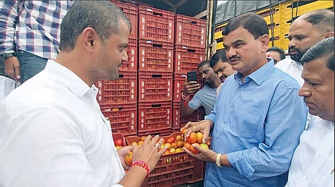 Tomato Auction