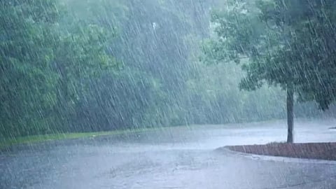 Kudal Record Rain