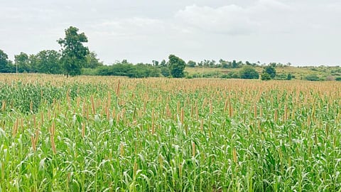 Khor Farmers