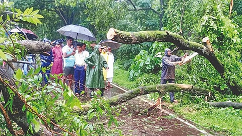 Ratnagiri rain