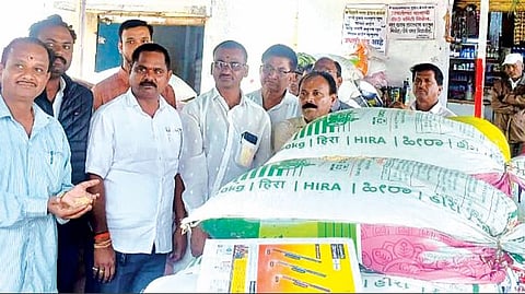 Jowar market price