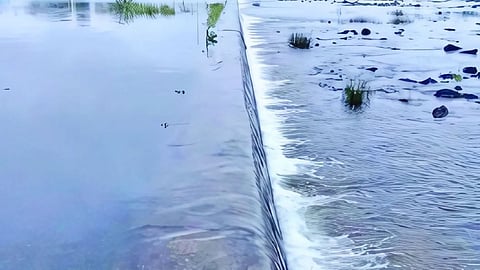 Bori Dam