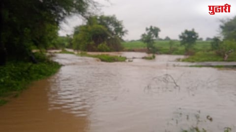 Dharashiv Rain News