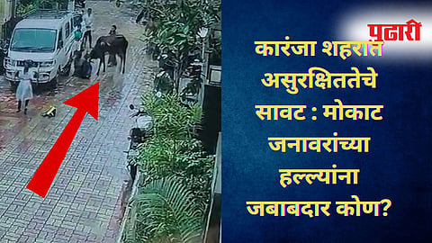 Washim News 