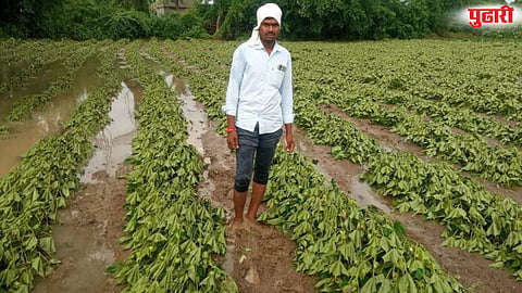 Purna Taluka crop damage  