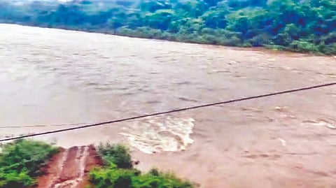 Rainfall Impact Konkan 