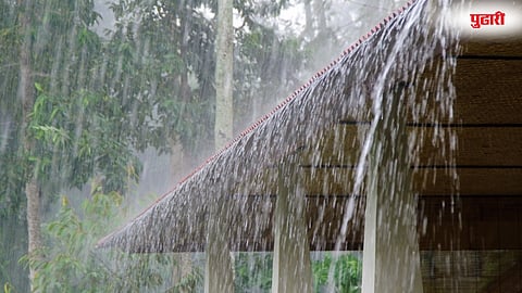 Washim Rain Alert