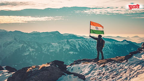 tricolour 