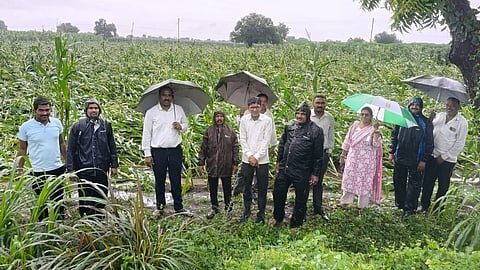 Jalgaon rainfall damage 