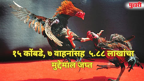 Chandrapur police raid illegal cockfight