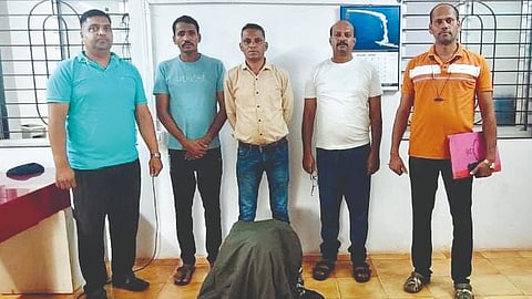 Elderly Robbery Gang Arrested 
