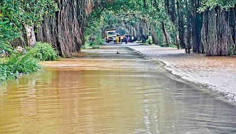 panchganga-river-reaches-danger-level