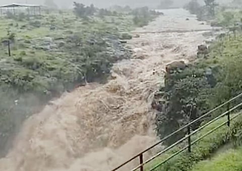 Bhimashankar Rain