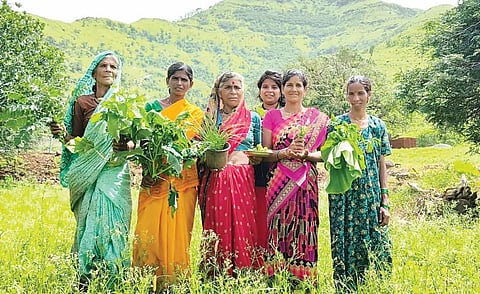 purandar news
