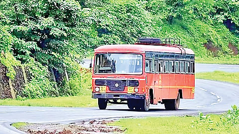 st bus news