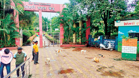 Bhosari News