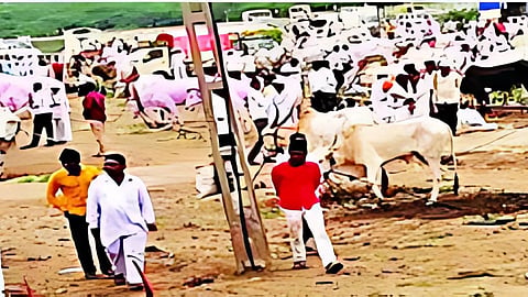 Jalna News 