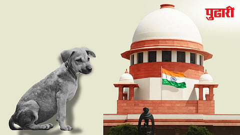 Supreme Court Verdict on Stray Dogs