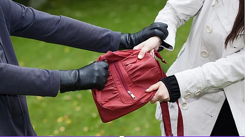 Passenger Bag Theft