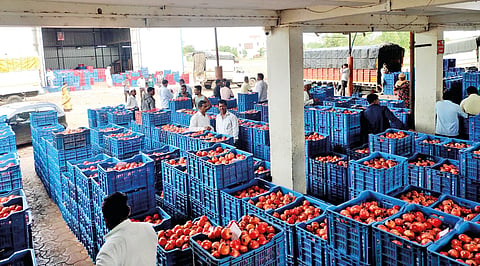 Atpadi pomegranate market |