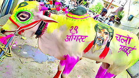 Bail Pola