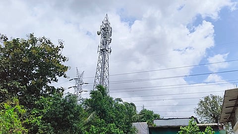 पालघर
