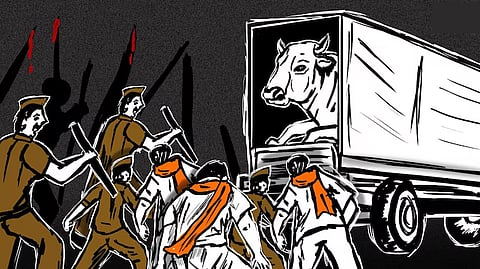 Illegal cattle transport