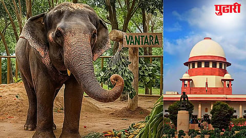 Vantara Wildlife Centre