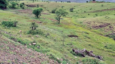 Water scarcity