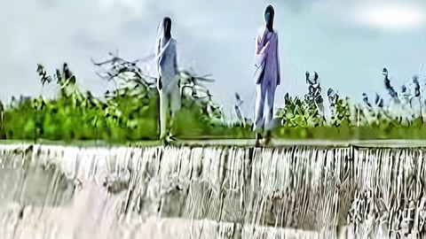 Jalna Yellow Alert : यलो अलर्ट, बावणे पांगरी मंडळात अतिवृष्टी