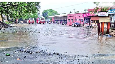 Dharashiv Rain