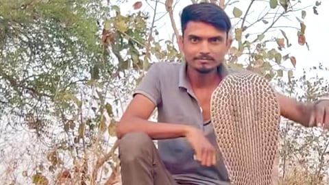 Palam Taluka Snakebite Death incident 